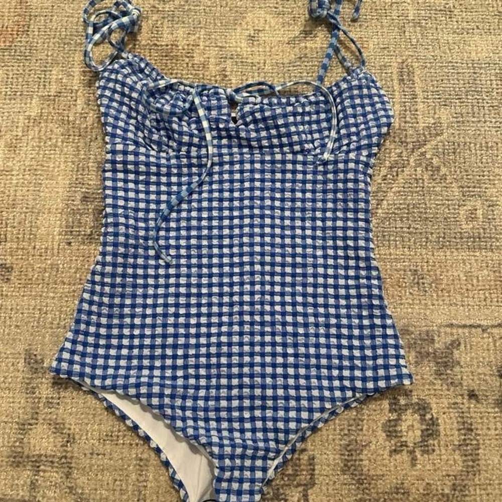 Beach Riot Blue and White Checkered One Piece Swimsuit